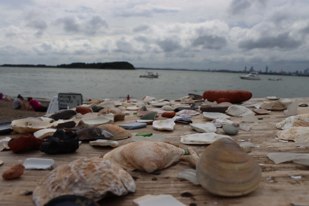 shells on table overlooking ocean